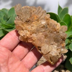 Golden healer / limonit klynge