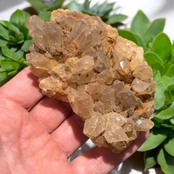 Golden healer / limonit klynge