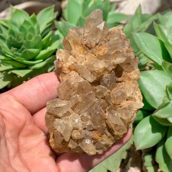 Golden healer / limonit klynge