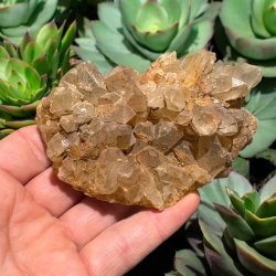 Golden healer / limonit klynge