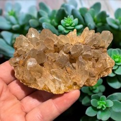 Golden healer / limonit klynge