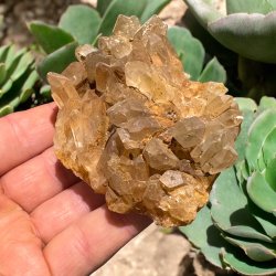 Golden healer / limonit klynge