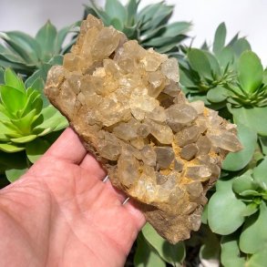 Golden healer / limonit klynge