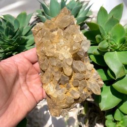 Golden healer / limonit klynge