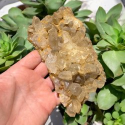 Golden healer / limonit klynge