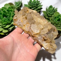 Golden healer / limonit klynge