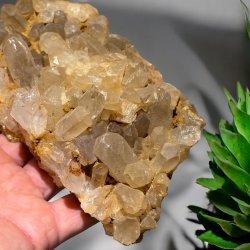 Golden healer / limonit klynge