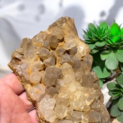 Golden healer / limonit klynge