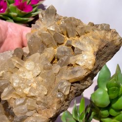 Golden healer / limonit klynge