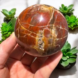 Forstenet tr kugle 76mm