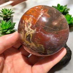 Forstenet tr kugle 76mm