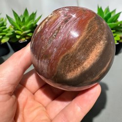 Forstenet tr kugle 76mm