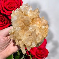 Golden healer / limonit klynge