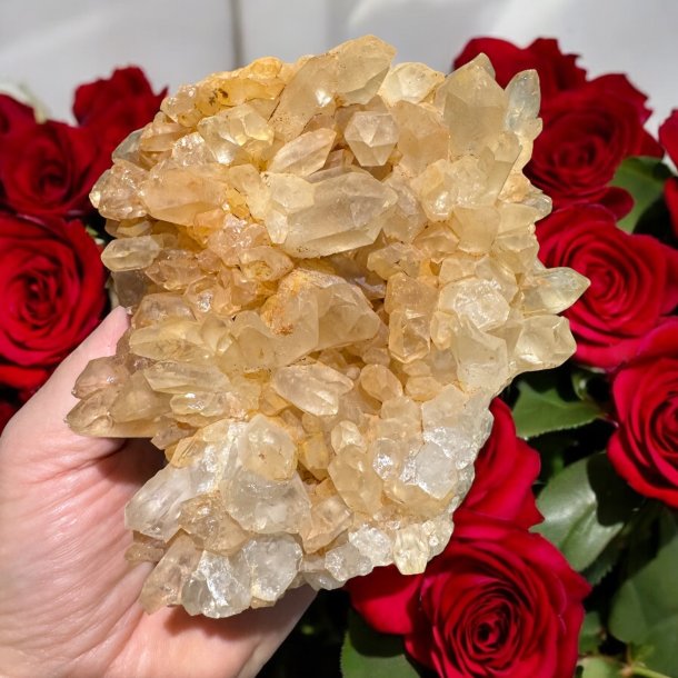 Golden healer / limonit klynge