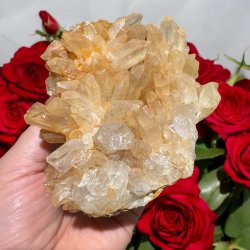 Golden healer / limonit klynge