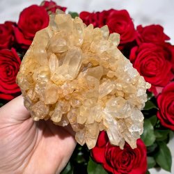 Golden healer / limonit klynge