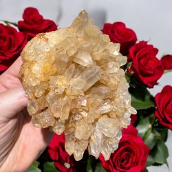 Golden healer / limonit klynge