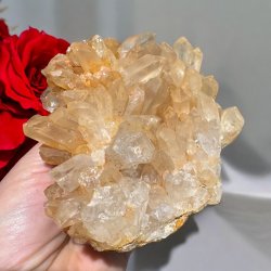 Golden healer / limonit klynge