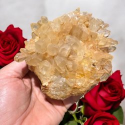 Golden healer / limonit klynge