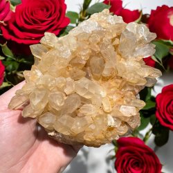 Golden healer / limonit klynge