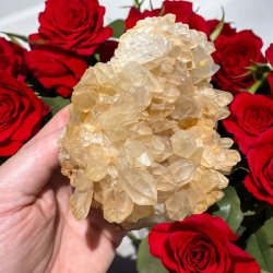 Golden healer / limonit klynge