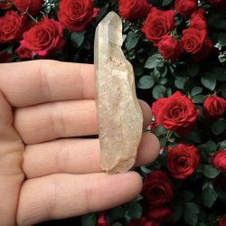 Lemurie krystal 83mm