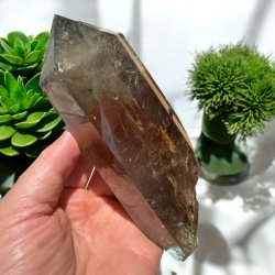 Rgkvarts trn m. stand