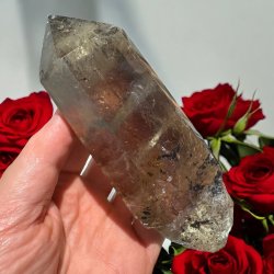 Rgkvarts trn m. stand