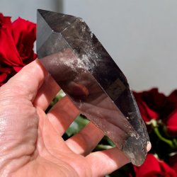 R�gkvarts t�rn m. stand