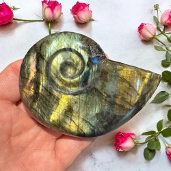 Magisk labradorit snegl 95mm