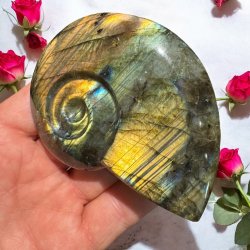 Magisk labradorit snegl 95mm