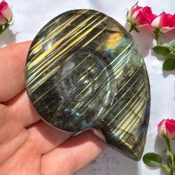 Magisk labradorit snegl 95mm