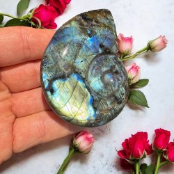 Magisk labradorit snegl 79mm