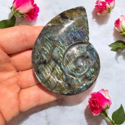 Magisk labradorit snegl 79mm