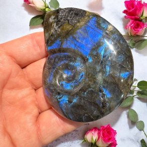 Magisk labradorit snegl 79mm