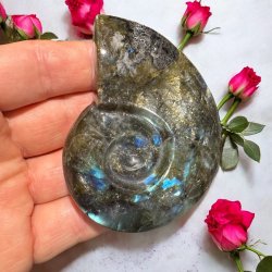 Magisk labradorit snegl 79mm