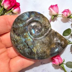 Magisk labradorit snegl 79mm