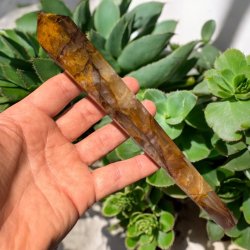 Golden healer stav med holder