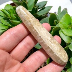 Caribisk calcit healerstav