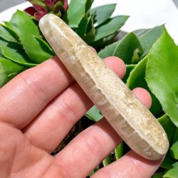 Caribisk calcit healerstav