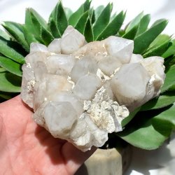 Pineapple kvarts klynge