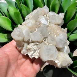 Pineapple kvarts klynge