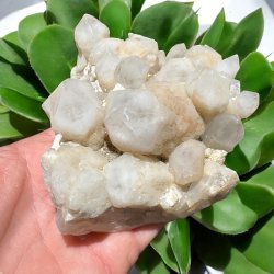 Pineapple kvarts klynge