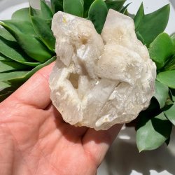 Pineapple kvarts klynge