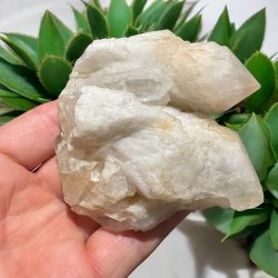 Pineapple kvarts klynge