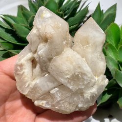 Pineapple kvarts klynge