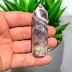 Chevron Ametyst t�rn 76mm