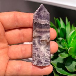 Chevron Ametyst t�rn 77mm