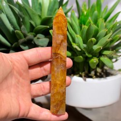 Golden healer t�rn 156mm