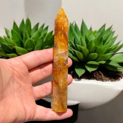 Golden healer t�rn 156mm